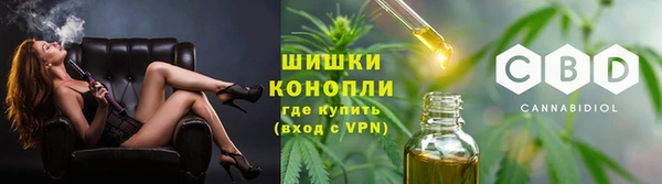 индика Зерноград