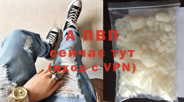 индика Зерноград