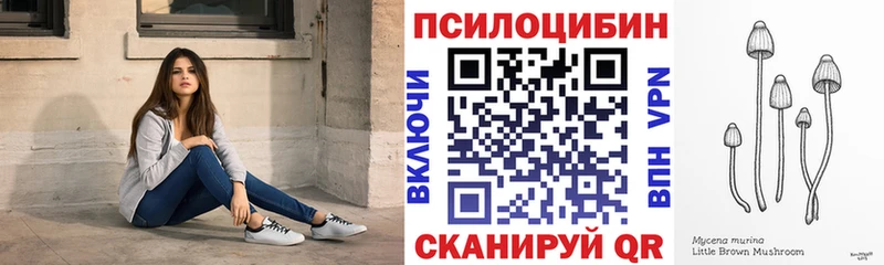 Псилоцибиновые грибы ЛСД  Купить  Трубчевск 